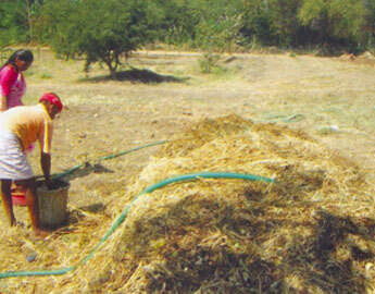 compost preparation