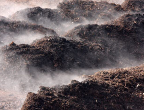 Parameters Affecting the Composting Process and Generated Compost Quality