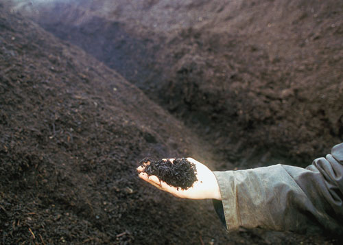 manure compost